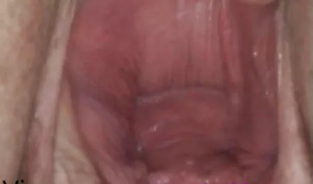 Gwiazdy porno wideo xxx ostry sex