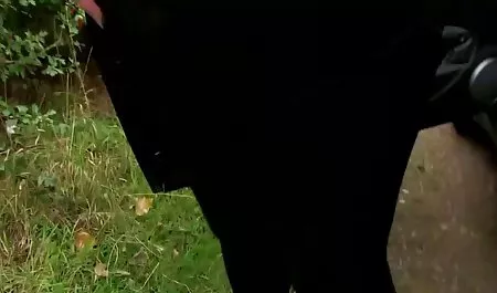 Zmieniać kobiety kopia domeny sex po polsku xxx producenta