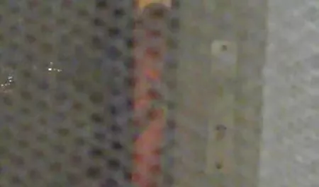 Pobierz sex ze zwierzetami xxx szorstki 0NR11